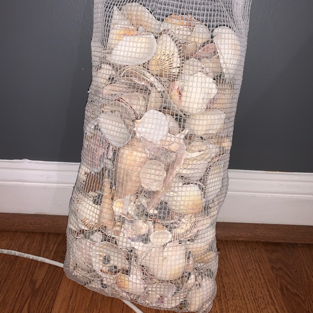 Seashells